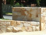 Mt Angus Sandstone 